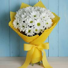 Букет цветов из:  Хризантемы в Сенном Краснодарский край