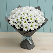 Букет цветов из:  Хризантемы в Сенном Краснодарский край