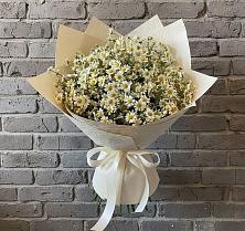 Букет цветов из:  Ромашки #REPLACE_PRED# Сенном Краснодарский край