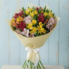 Букет цветов из:  Альстромерии #REPLACE_PRED# Сенном Краснодарский край