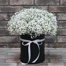 Цветочная композиция из Гипсофила в шляпной коробке #REPLACE_PRED# Сенном Краснодарский край