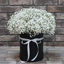 Цветочная композиция из Гипсофила в шляпной коробке в Сенном Краснодарский край