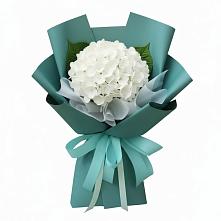 Букет цветов из:  Гортензия #REPLACE_PRED# Сенном Краснодарский край